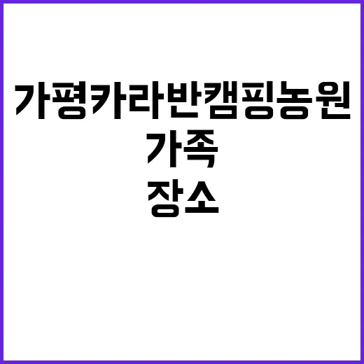 가평카라반캠핑농원 …