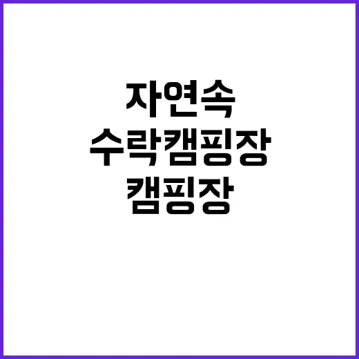 수락 캠핑장