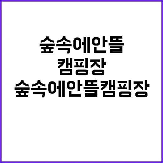 숲속에안뜰 캠핑장 …