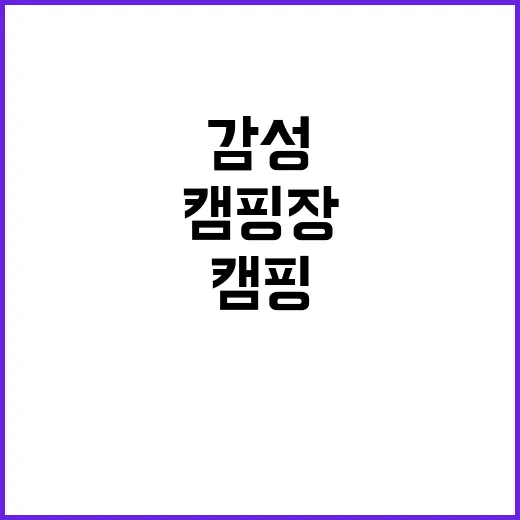 싱글벙글 캠핑장 감…