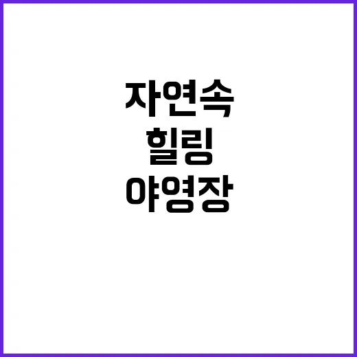 팔현야영장 자연 속…