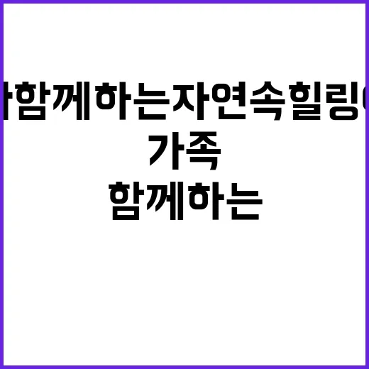 별빛힐링캠프