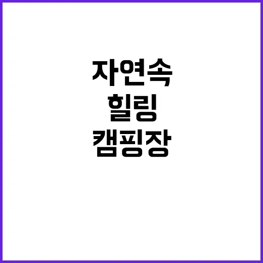 파마스힐 캠핑장 완…