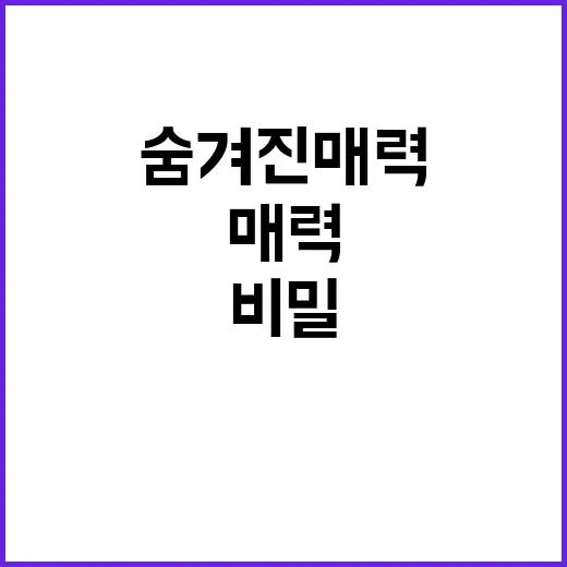 앙티브