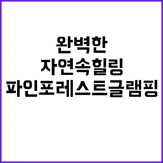 파인포레스트 글램핑