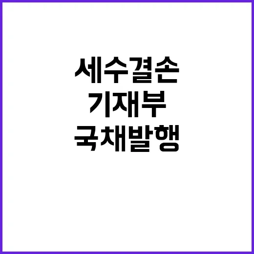 국채 발행 세수 결손과 관계 없다는 기재부 말!