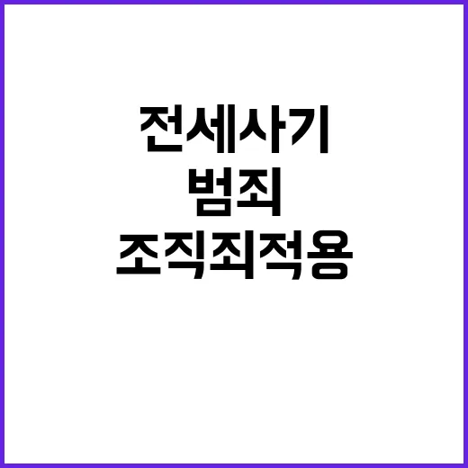 전세사기 조직 15…