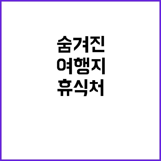 독스아웃 숨겨진 여…