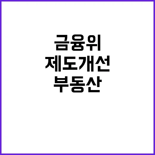 부동산 제도개선 금…