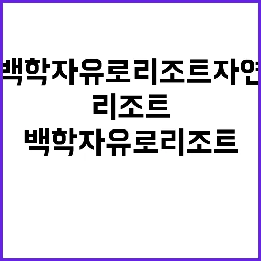 백학자유로리조트 자…