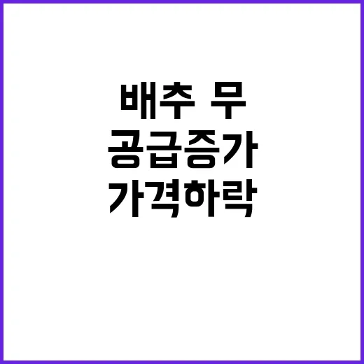 배추·무 가격 하락 공급 증가가 원인!