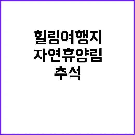 “자연휴양림 추석에…