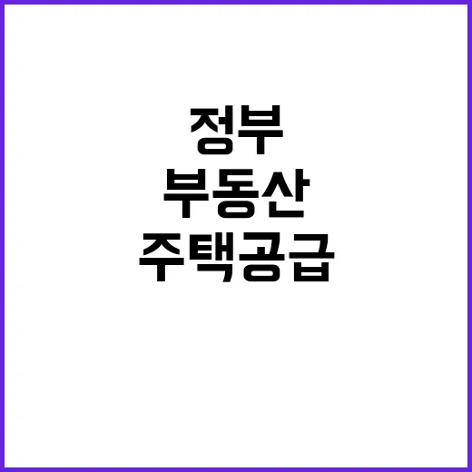 부동산 정부 협력으…