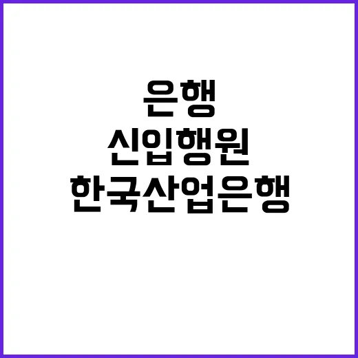 한국산업은행 정규직…