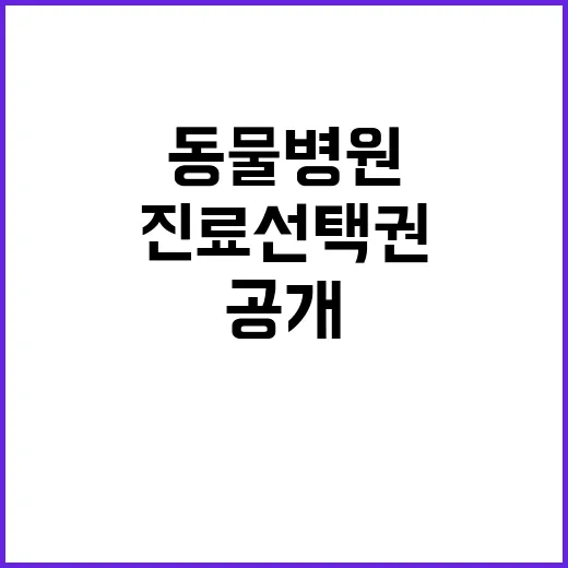 비용 공개 동물병원…