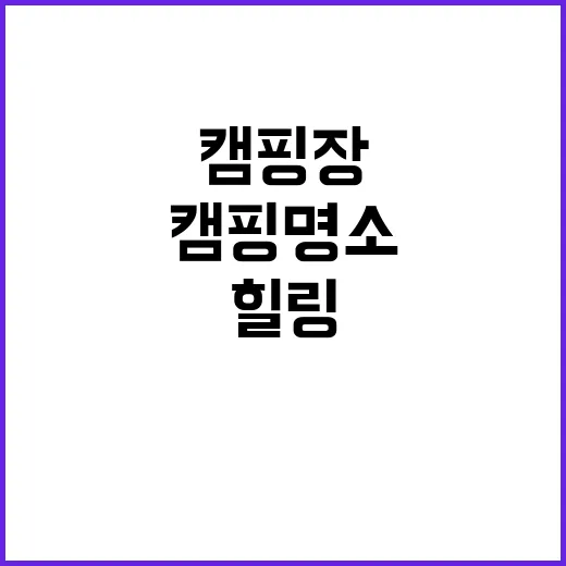 젤리캠핑장