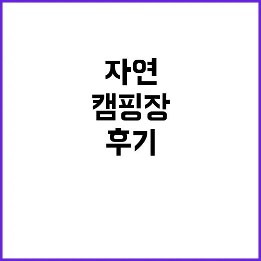 약사밤나무집 캠핑장…