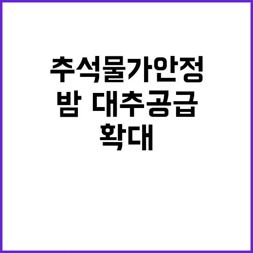 “추석 물가 안정” 대폭 확대된 밤·대추 공급!