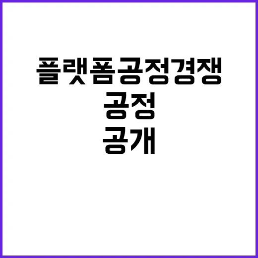 플랫폼 공정경쟁 사…