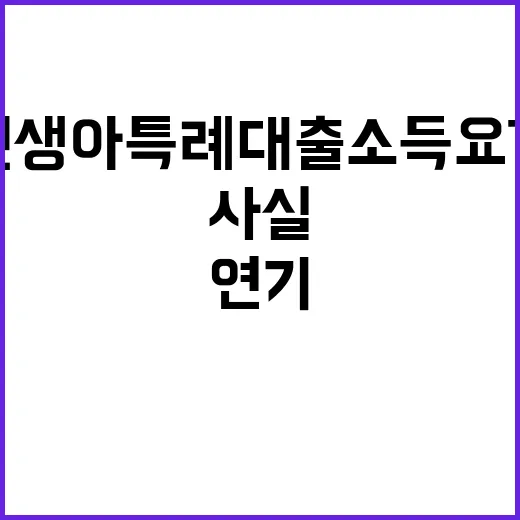 신생아특례대출 소득…