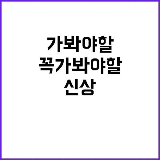 파주스(PAJUS)…