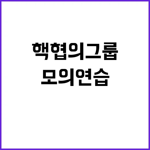 핵협의그룹 한반도 …