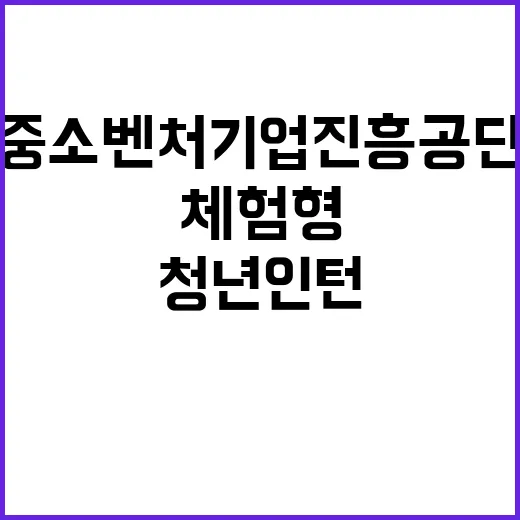 2024년 중소벤처기업진흥공단 체험형 청년인턴(장애인·자립준비청년) 채용 공고