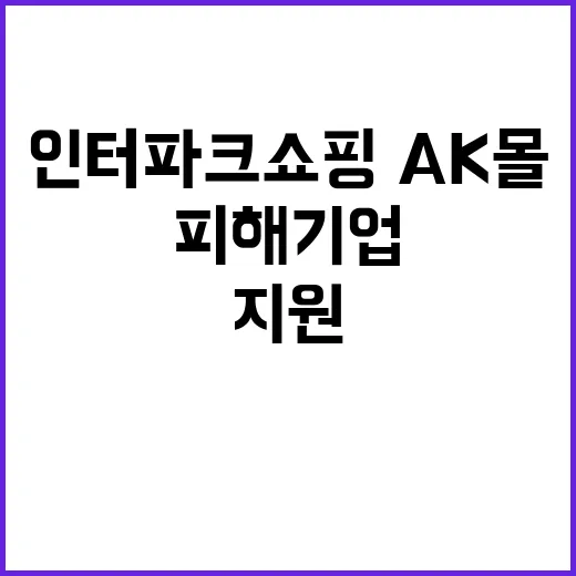 유동성 지원 인터파크쇼핑·AK몰 피해기업 구제!