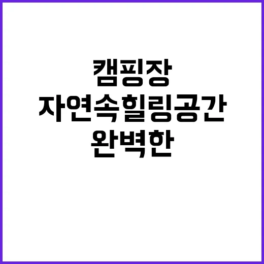 어도숲 캠핑장 자연…