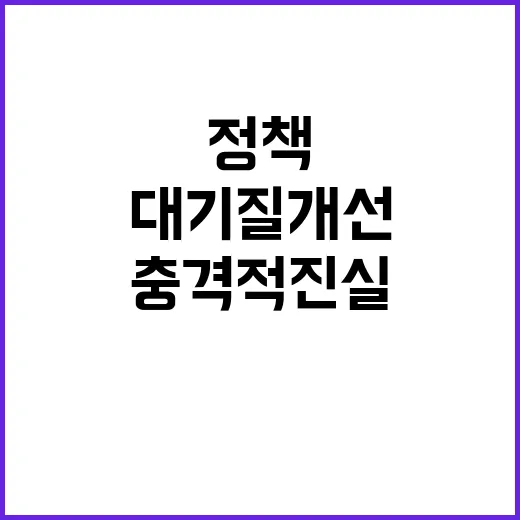 “대기질 개선 정책…