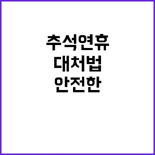 금융사기 주의 추석…