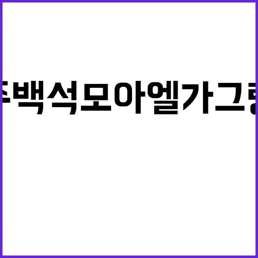 양주 백석 모아엘가…