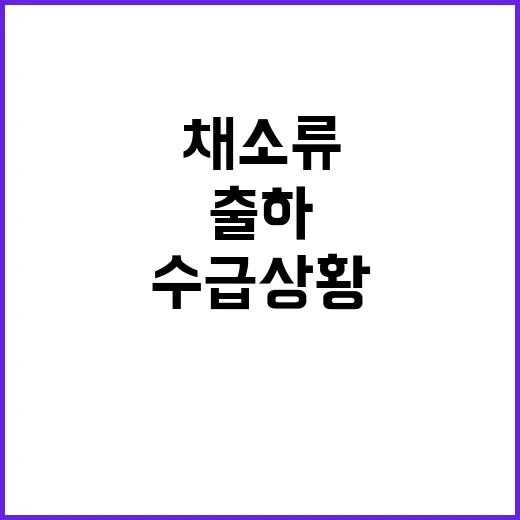 채소류 출하 증가 …