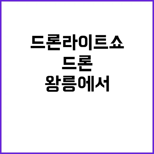 드론 라이트쇼 왕릉…