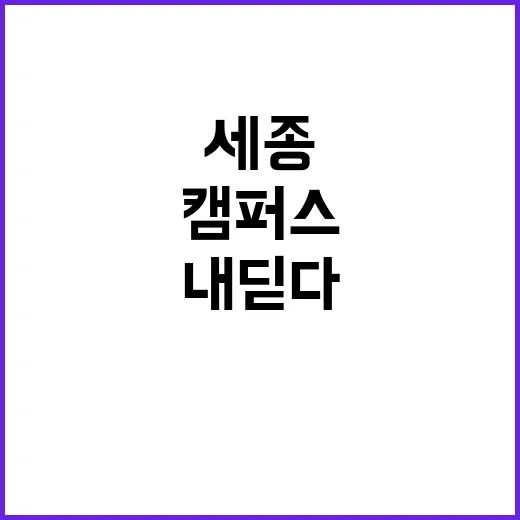 공유형 캠퍼스 세종에 첫 발을 내디디다!