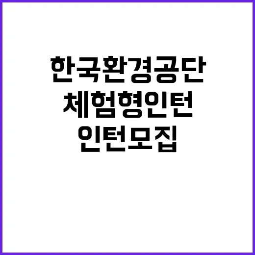 한국환경공단 청년인…