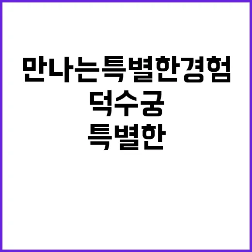 미키 덕수궁에서 만나는 특별한 경험!