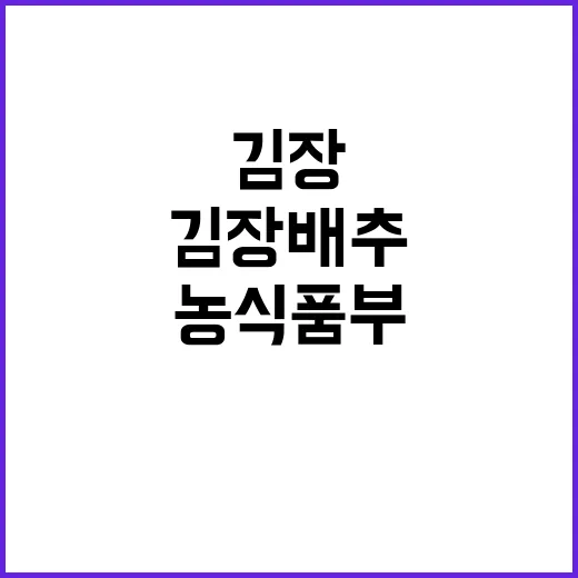 농식품부 김장 배추·무 공급 안정성 확보 비법 공개!