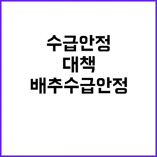 배추 수급 안정 정…