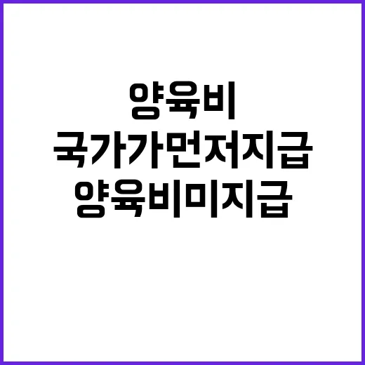 양육비 미지급 국가…