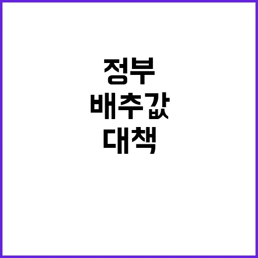 배추값 할인 정부의…