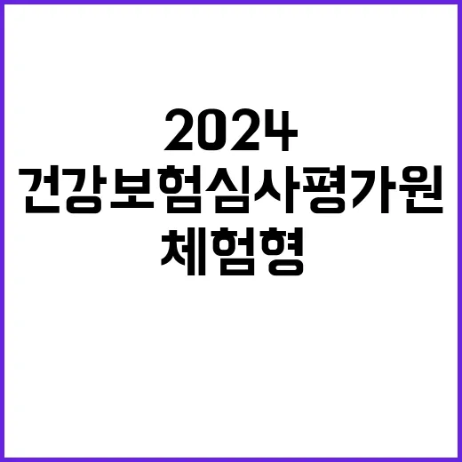 건강보험심사평가원 2024년 하반기 체험형 청년인턴 채용 공고