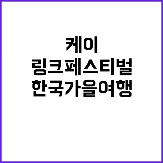 한류팬 놀이터 한국…