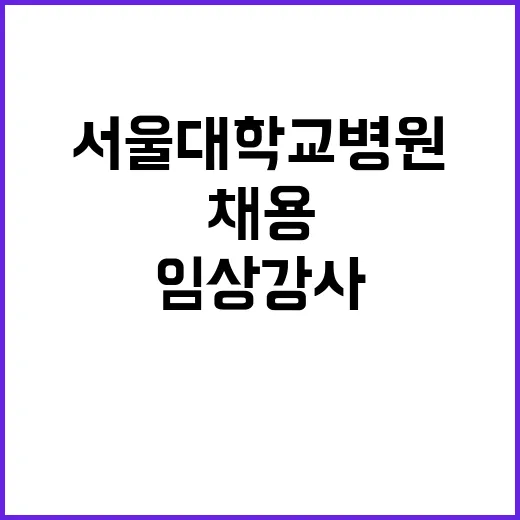 서울대학교병원 정규…