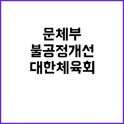 문체부 대한체육회 …