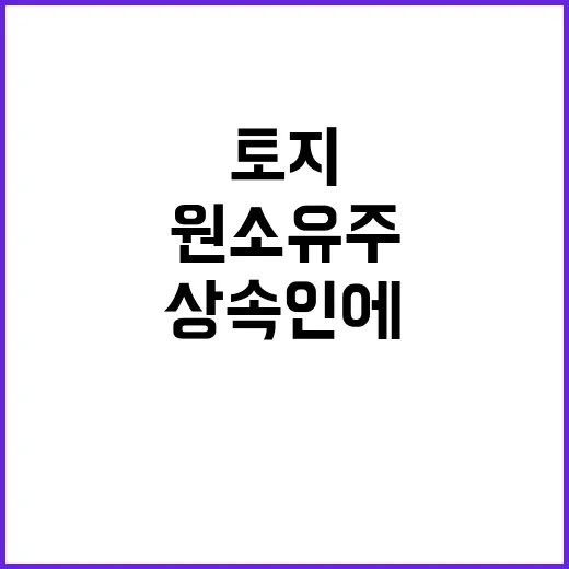 토지 반환 원 소유…