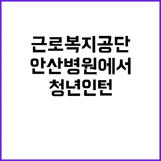 [안산병원] 청년(체험형)인턴 채용 공고