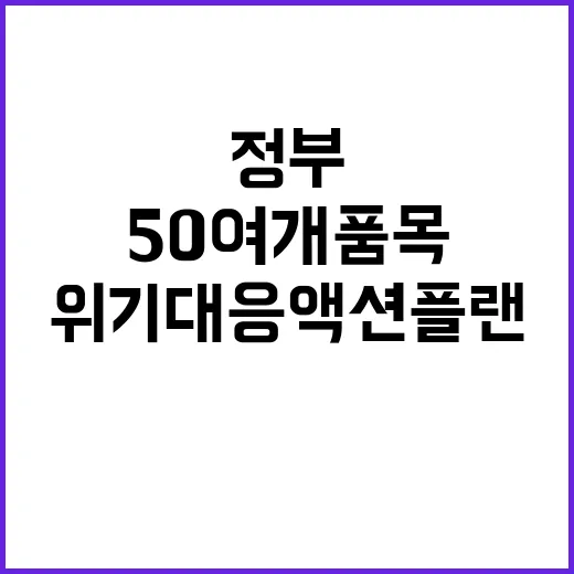 위기대응 액션플랜 정부의 50여개 품목 발표!