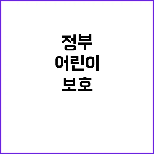 교통사고 정부의 어린이·노인 보호 대책 공개