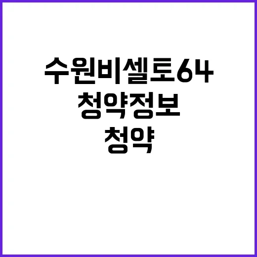 수원 비셀토64 청…